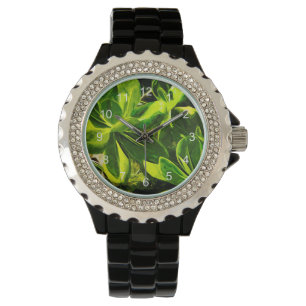 Green Succulent Ocean Beach Pflanze Abstrakt Armbanduhr
