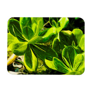 Green Succulent Ocean Beach Pflanze Abstrakt Magnet