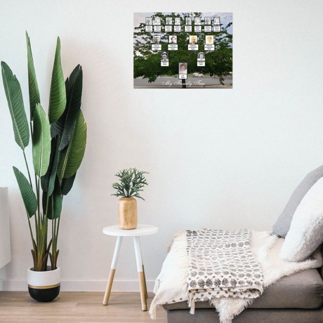 Green Summer Family Tree Foto Poster (Von Creator hochgeladen)