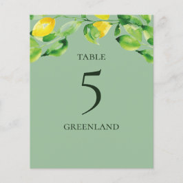 Green Summer Lemons und Folientafelname