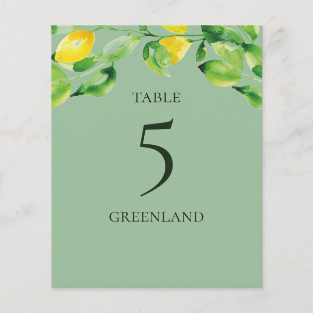 Green Summer Lemons und Folientafelname (Vorderseite)