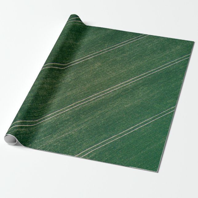 Green surface geschenkpapier (Ungerollt)