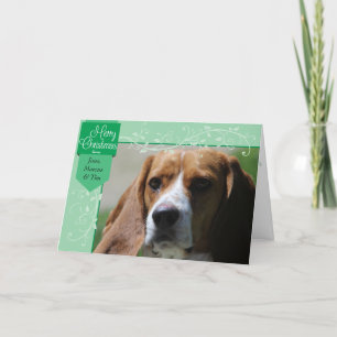 Green Tab und Schnörkel Weihnachts-Foto Feiertagskarte