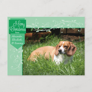 Green Tab und Schnörkel Weihnachts-Foto Postcard Feiertagspostkarte
