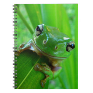 Green Tree Frog Notebook Notizblock
