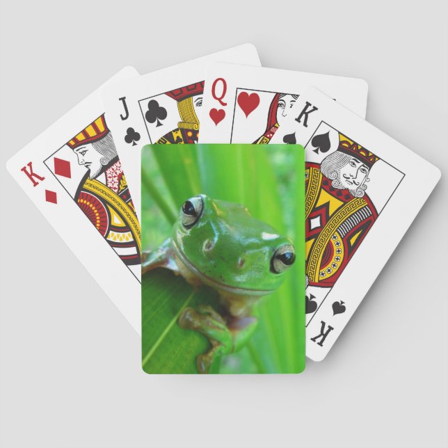 Green Tree Frog Playing Cards Spielkarten (Rückseite)