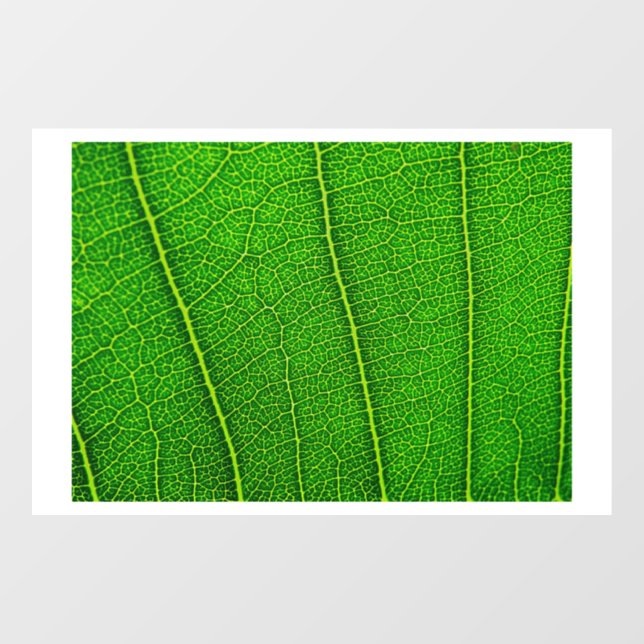 Green Tree Leaf Fensteraufkleber (Blatt)