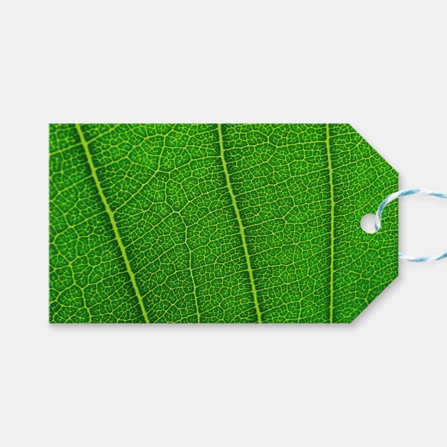 Green Tree Leaf Geschenkanhänger (Vorderseite (Horizontal))