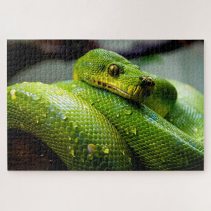 Green Tree Python, Jigsaw Puzzle