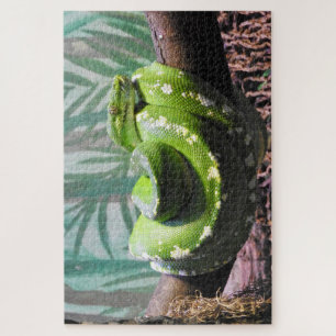 Green Tree Python Puzzle