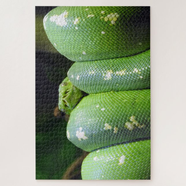 Green Tree Python Puzzle (Vertikal)