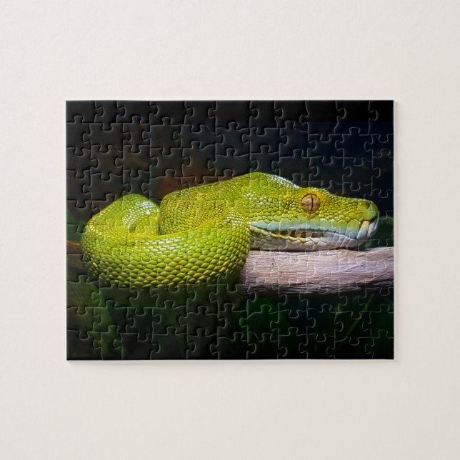 Green Tree Python Snake Owner Puzzle (Horizontal)