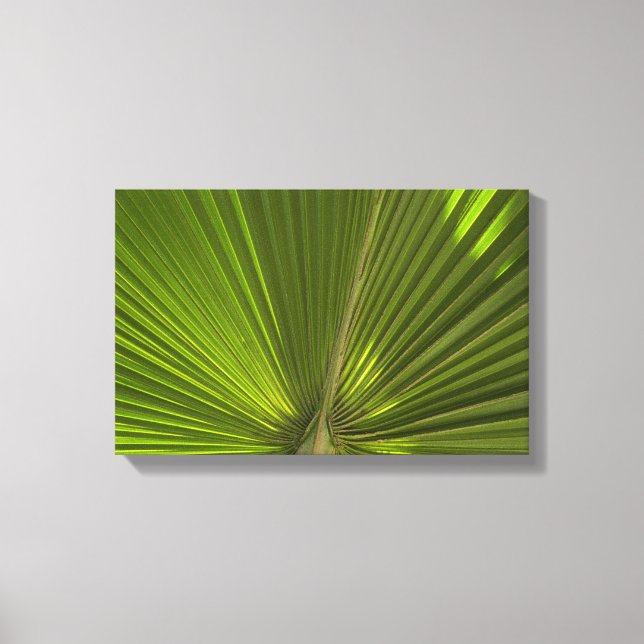 Green Tropical Palm Frond Leinwanddruck (Vorderseite)
