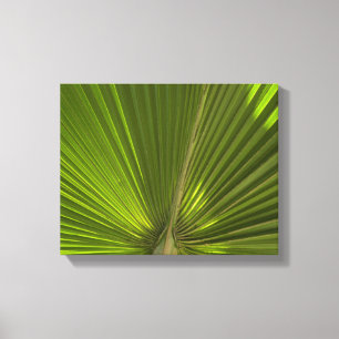 Green Tropical Palm Frond Leinwanddruck