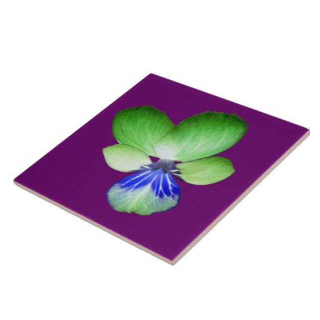 Green und Blue Pansy Tile Fliese (Seite)