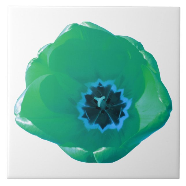 Green und Blue Tulip Tile Fliese (Vorderseite)