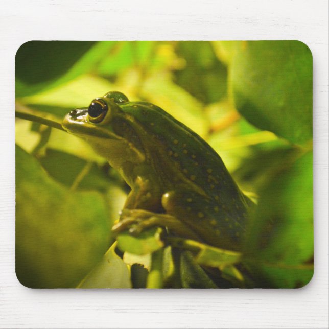 Green und Golden Bell Frog Mousepad (Vorne)