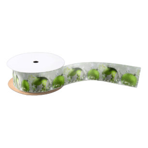 Green und Silver Weihnachtslieder Ribbon Satinband