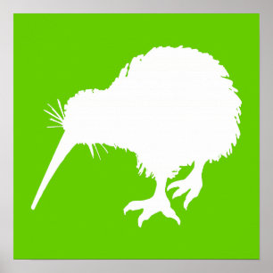 Green und White Kiwi Poster