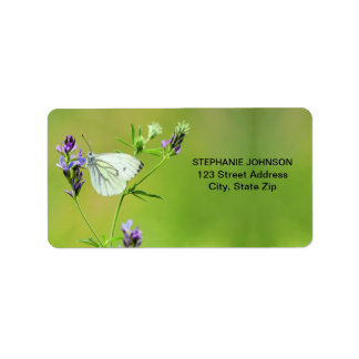 Green Veined White Butterfly Adressaufkleber