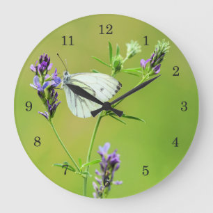 Green Veined White Butterfly Große Wanduhr