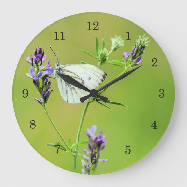Green Veined White Butterfly Große Wanduhr (Vorderseite)