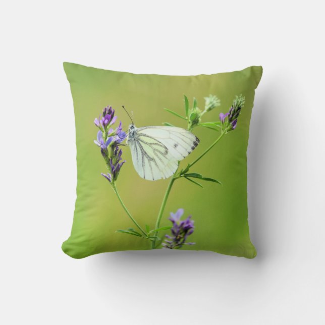 Green Veined White Butterfly Kissen (Vorderseite)