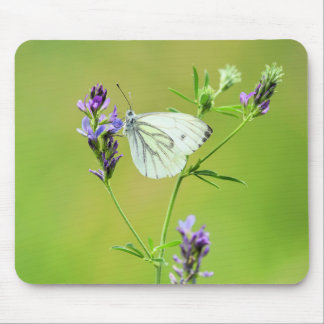 Green Veined White Butterfly Mousepad
