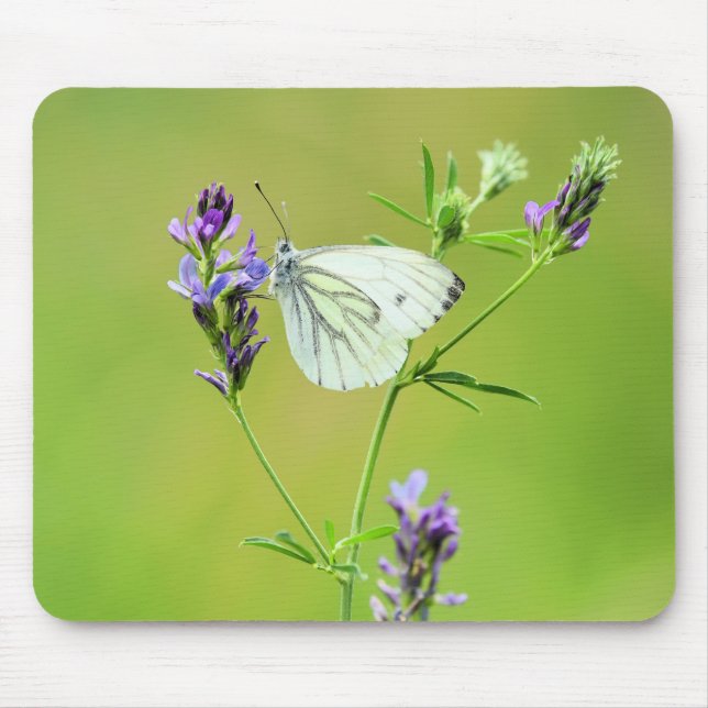 Green Veined White Butterfly Mousepad (Vorne)