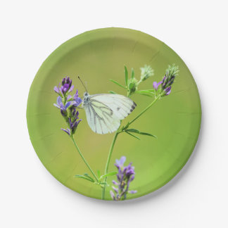 Green Veined White Butterfly Pappteller