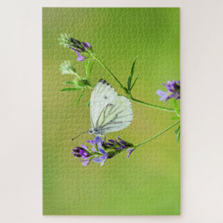 Green Veined White Butterfly Puzzle