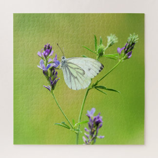 Green Veined White Butterfly Puzzle