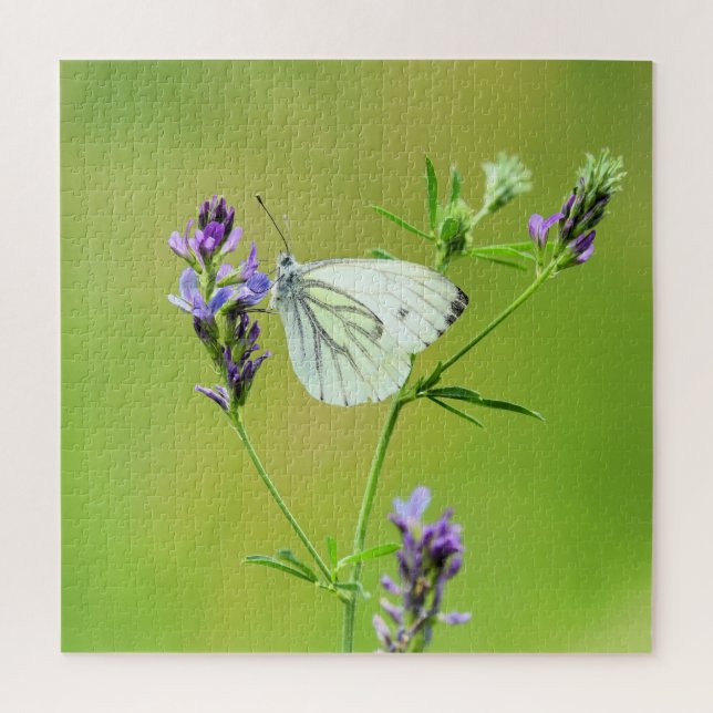 Green Veined White Butterfly Puzzle (Vertikal)