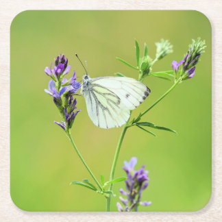 Green Veined White Butterfly Rechteckiger Pappuntersetzer