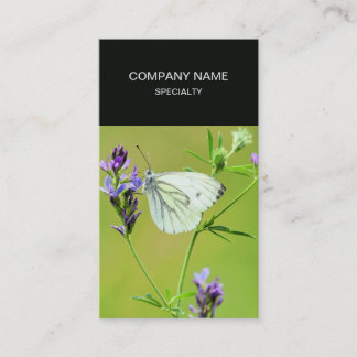 Green Veined White Butterfly Visitenkarte