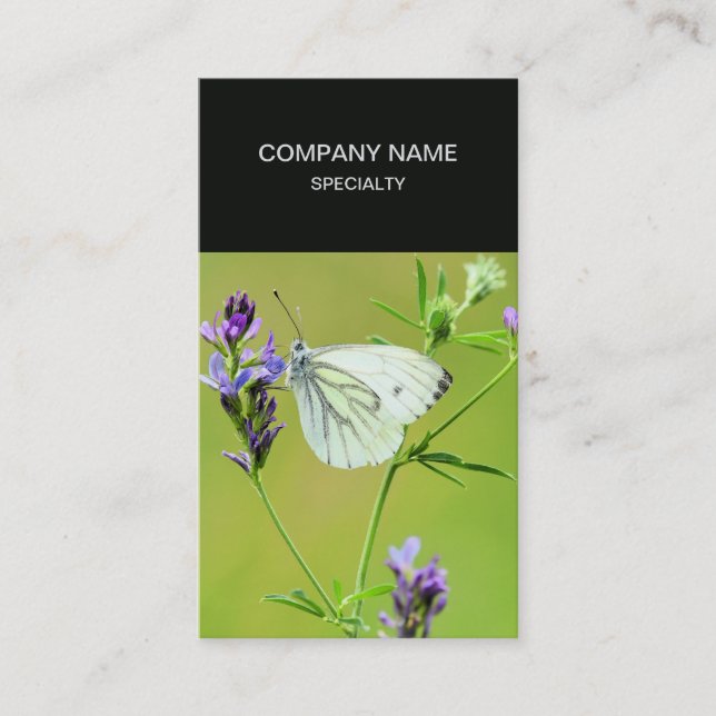 Green Veined White Butterfly Visitenkarte (Vorderseite)