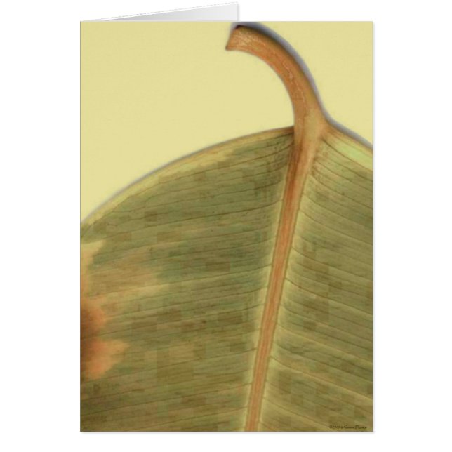 Green Verlass Card (Vorne)