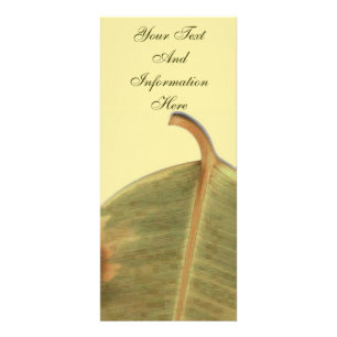 Green Verlass Rack Card Werbekarte