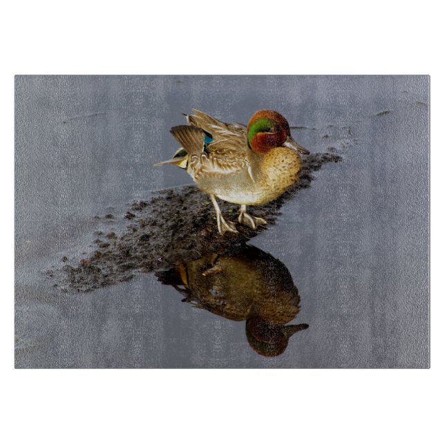 Green Wing Aquamarin Duck Cutting Board Schneidebrett (Vorderseite)