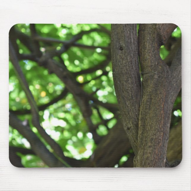 Green Wisteria Pergola Tree Nature Fotografy Mousepad (Vorne)
