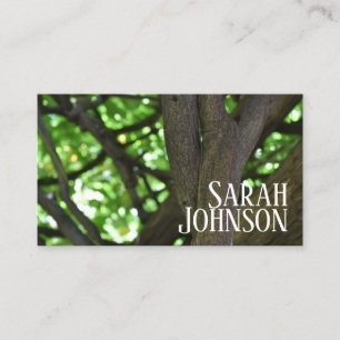 Green Wisteria Pergola Tree Nature Fotografy Visitenkarte