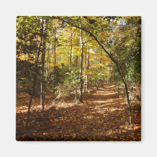 Greenbelt Park im Herbst I Maryland Landschaft Magnet