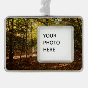Greenbelt Park im Herbst I Maryland Landschaft Rahmen-Ornament Silber