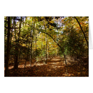 Greenbelt Park in Herbst I Maryland Landschaft