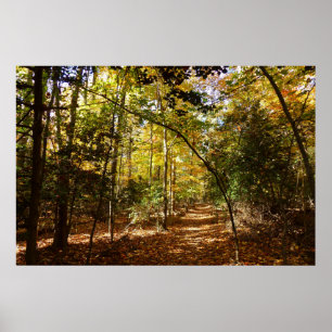 Greenbelt Park in Herbst I Maryland Landschaft Poster