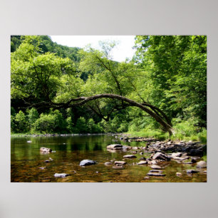 Greenbrier River, WV Poster