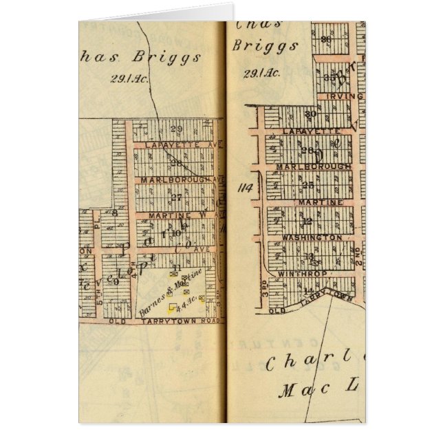 Greenburg, New York 10 (Vorne)