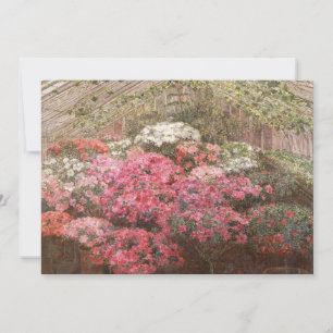 Greenhouse Azaleas   Marie Antoinette Marcotte