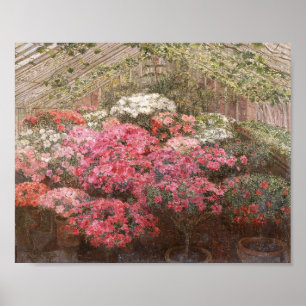 Greenhouse Azaleas   Marie Antoinette Marcotte Poster