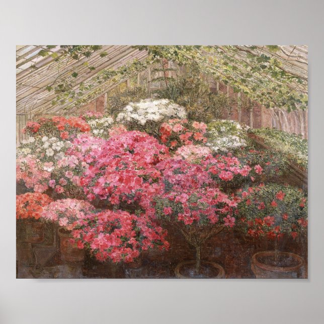 Greenhouse Azaleas | Marie Antoinette Marcotte Poster (Vorne)